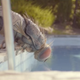 Image for article titled Scumbags see opportunity in a gigantic fly in the trailer for Quentin Dupieux’s Mandibles